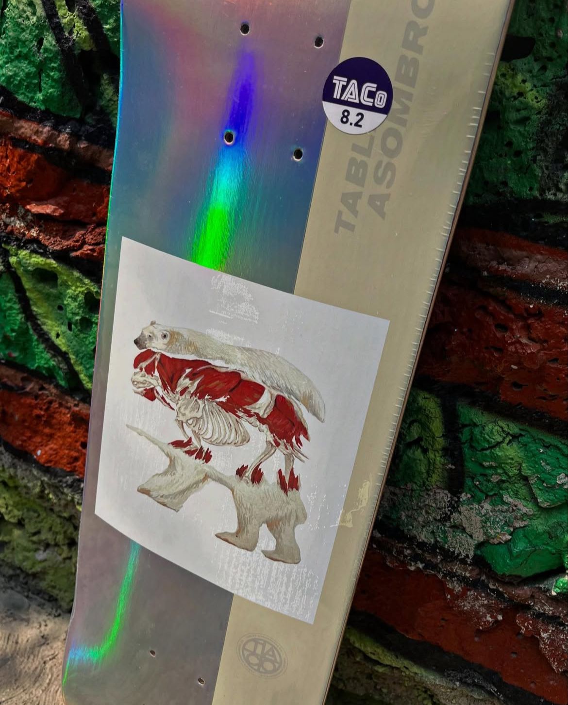 Tabla TACO 8.25 ¨OSO¨