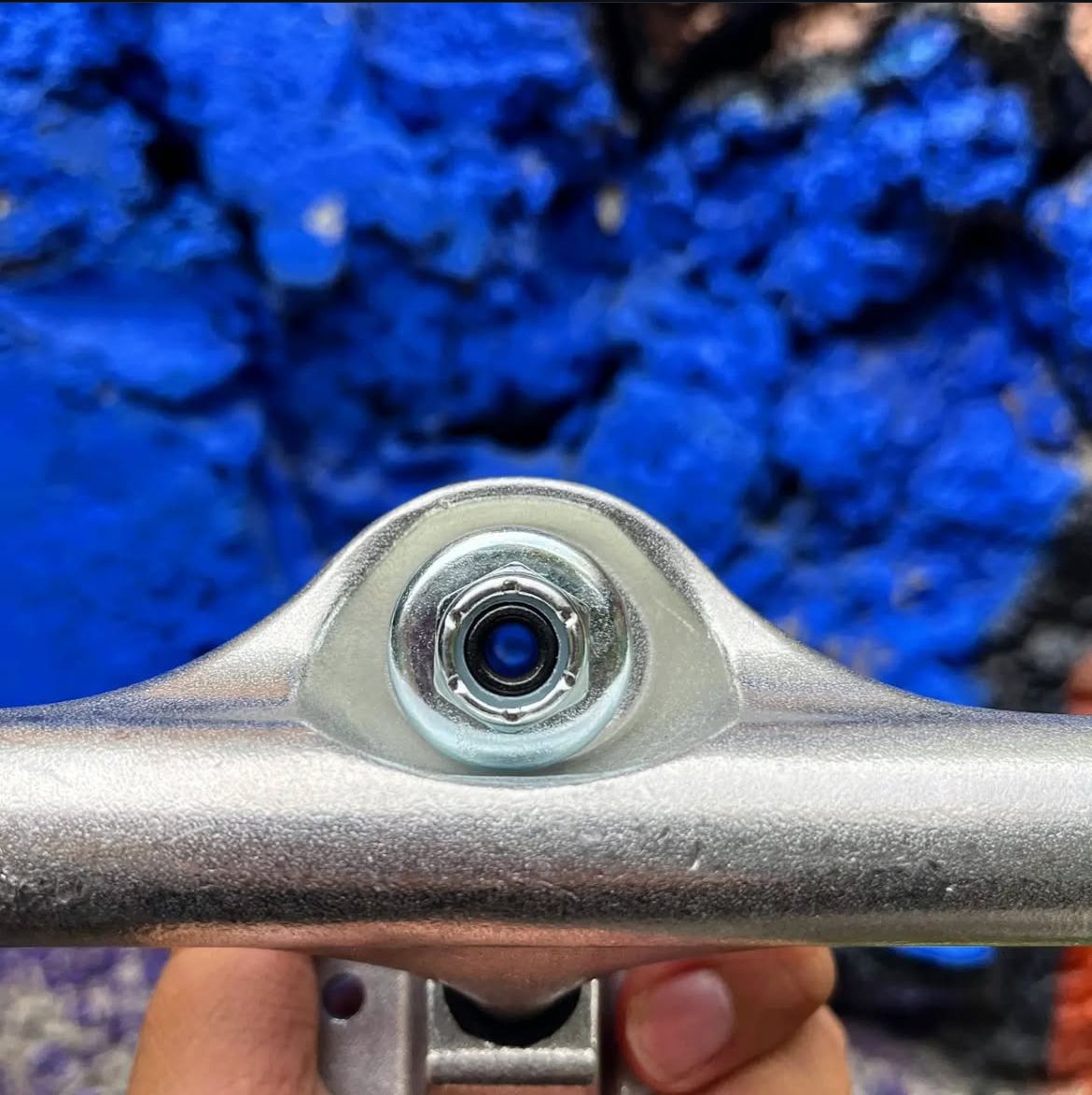 Truck ¨Blank Plata¨