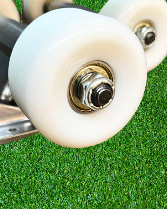 Base Completa ¨Económica Plata¨