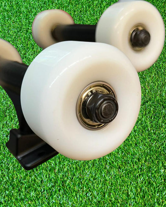 Base Completa ¨Económica Negra¨