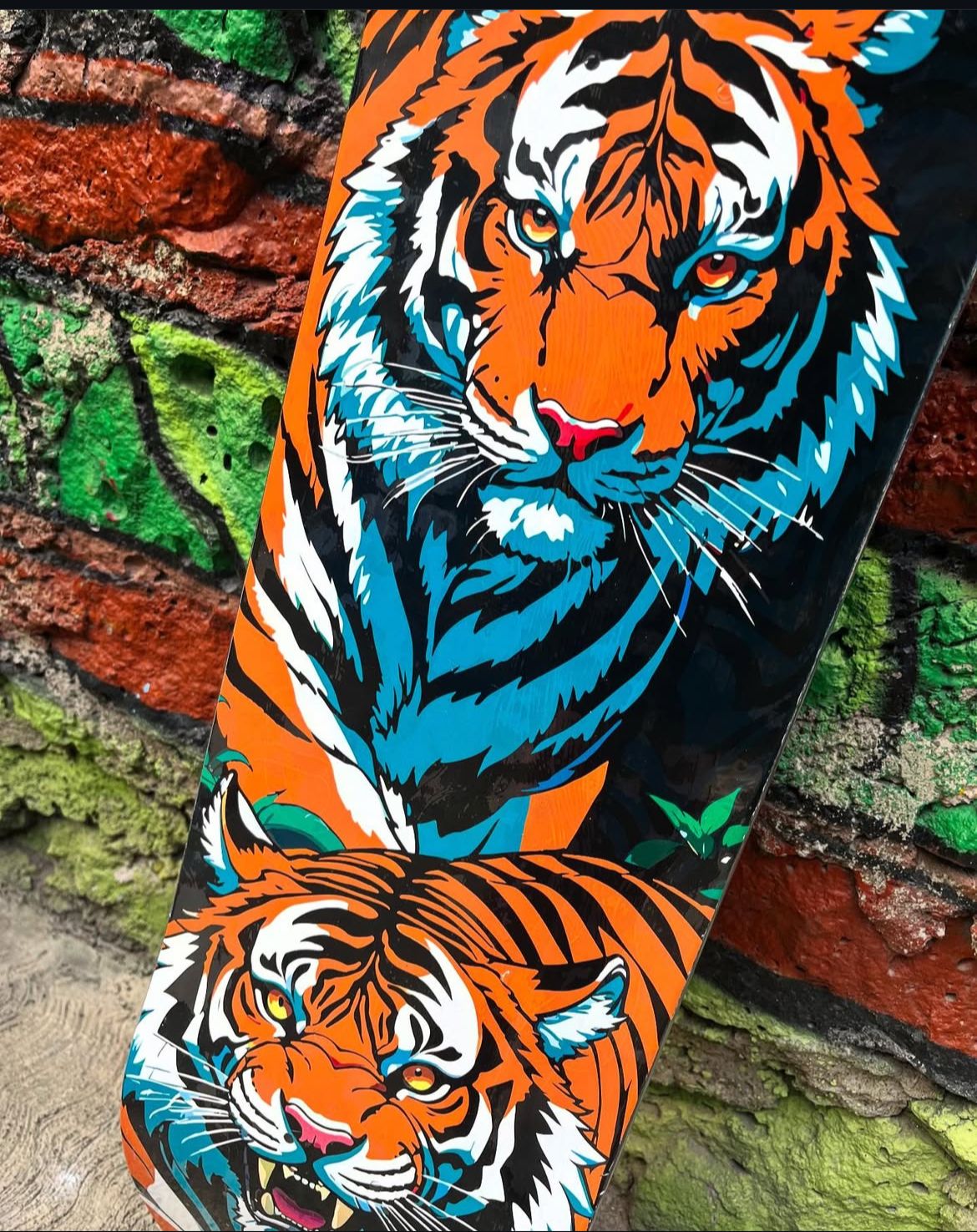 Tabla TOOL 8.25 ¨Tigres¨